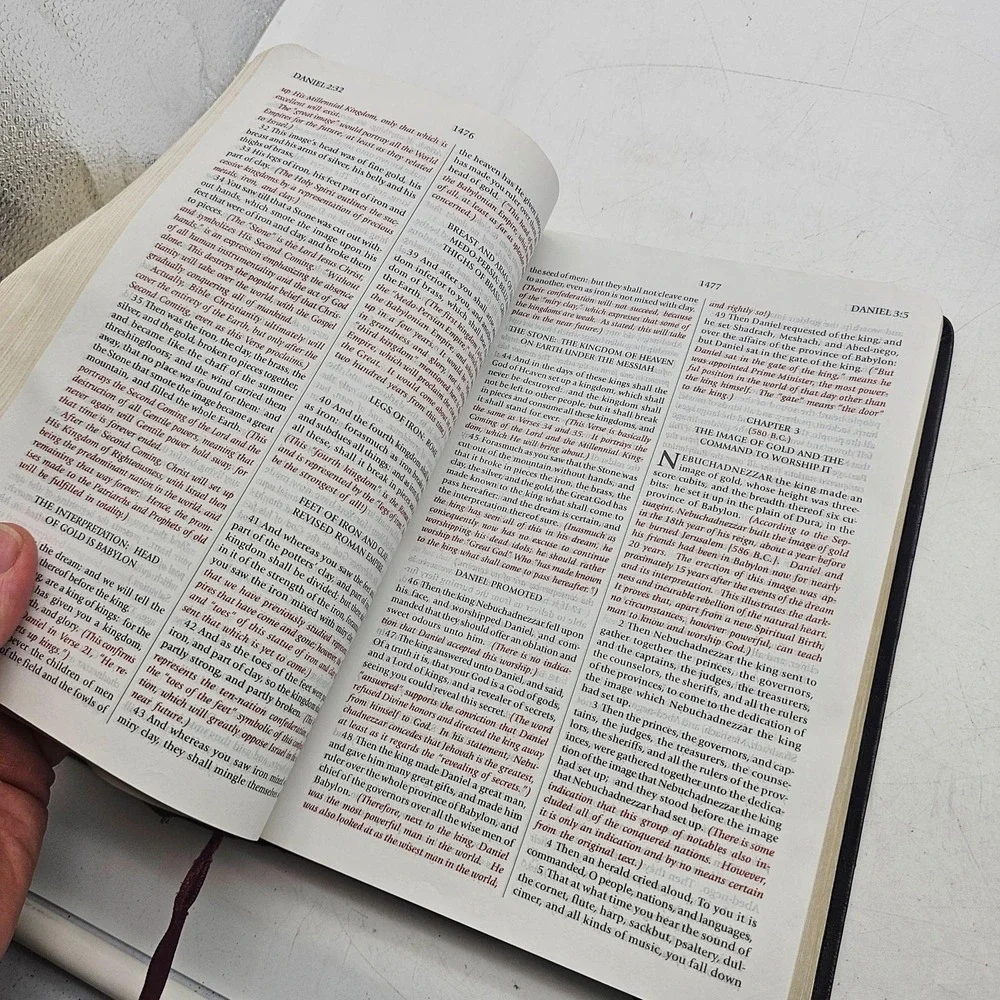 The Expositor's Study Bible King James Version Jimmy Swaggart 2010 HC Sheepskin